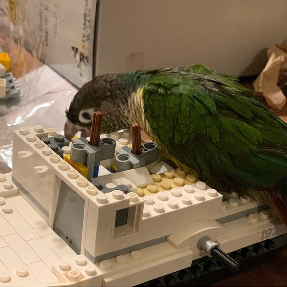 Meet your Posher, Canned_water - Picture 3 of 3